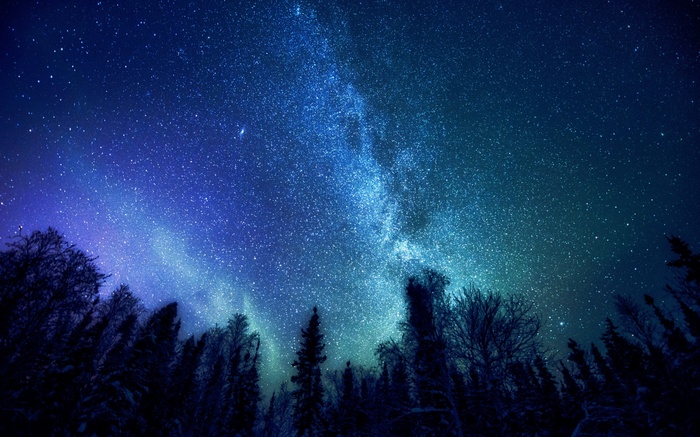 nature, Milky Way, stars, trees