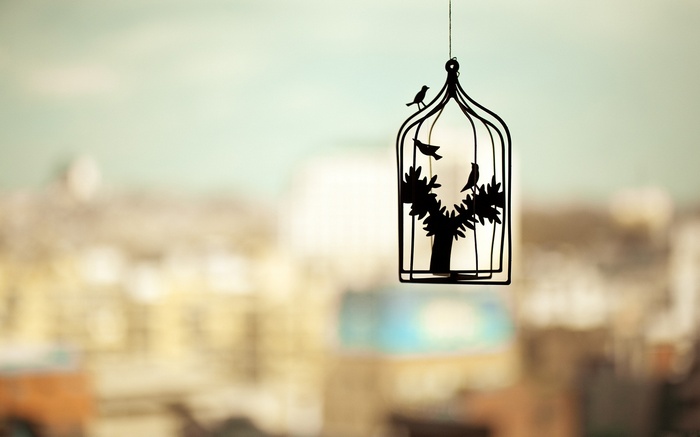 Silhouette birdcage with birds and tree against cityscape
