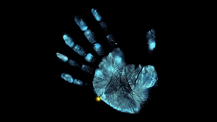 Fringe (TV series)