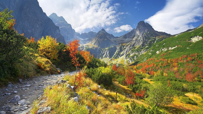 Autumn path in the Tatra Mountains, Slovakia