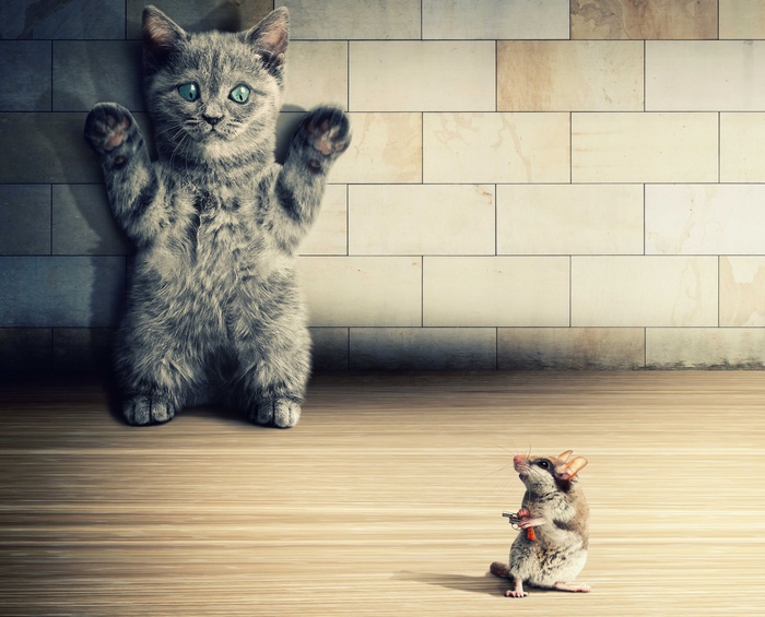 A kitten is cornered by a mouse with a gun