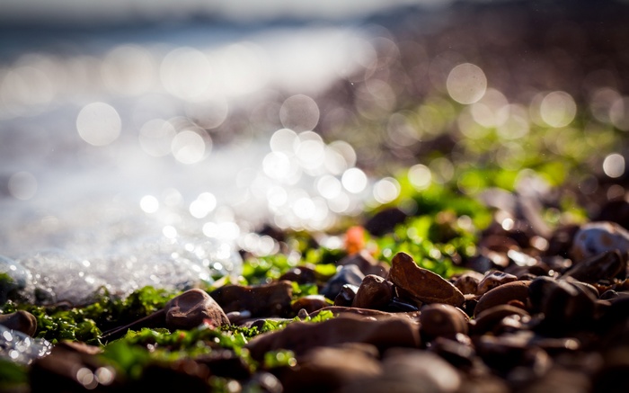 Sunlight on pebbles and seaweed by the sea
