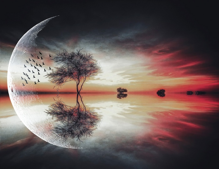Fantasy landscape with moon, tree, and birds over water