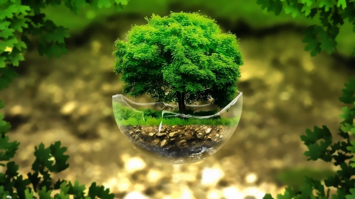 digital art, rock, trees, sphere, plants, broken, leaves, nature, grass, green, glass, floating island