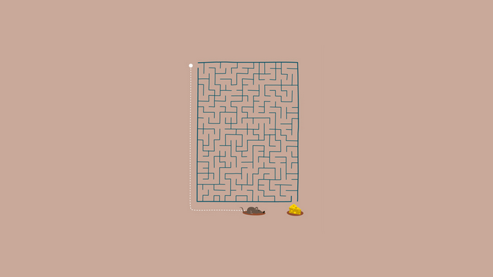 Mouse navigating a maze to reach cheese