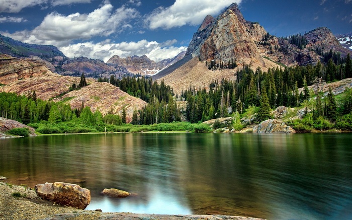 Mountain lake with pine trees and rocky slopes