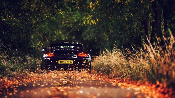 Black Porsche 911 GT3 on a leaf-covered road