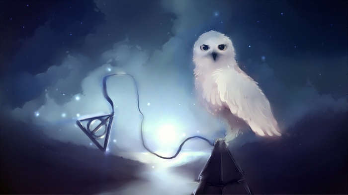 Harry Potter, Apofiss, night, fantasy art, stars, animals, owl, Hedwig, Harry Potter and the Deathly Hallows