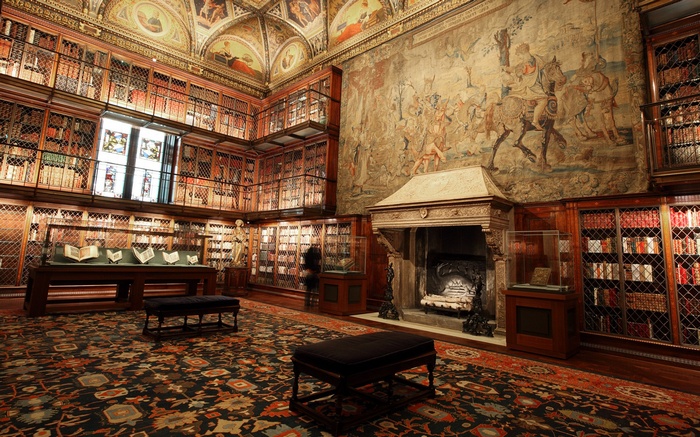 Library interior with fireplace and books