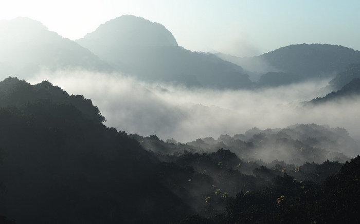 Misty mountains and forest landscape