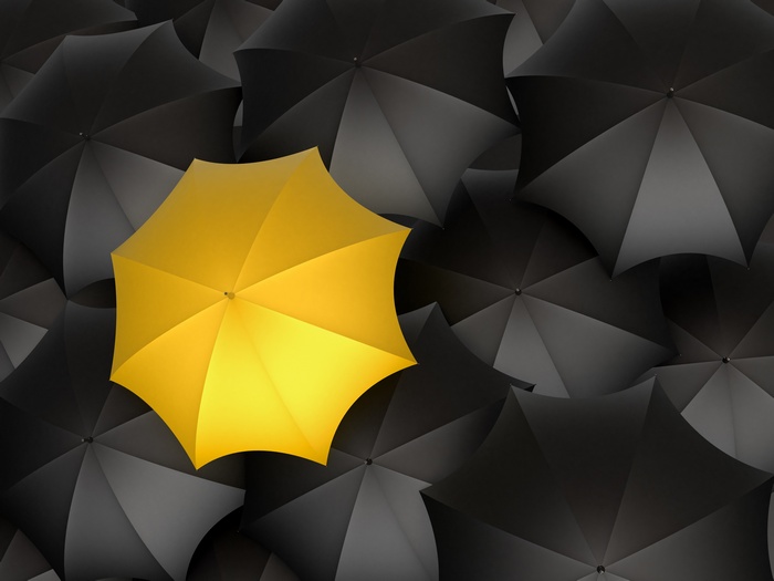 A single yellow umbrella stands out among many black umbrellas