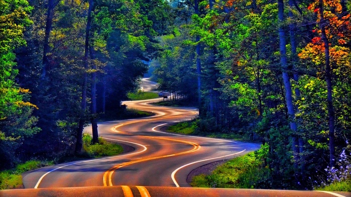 Winding Road Through a Colorful Forest
