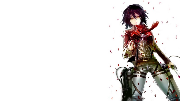 Mikasa Ackerman from Shingeki no Kyojin