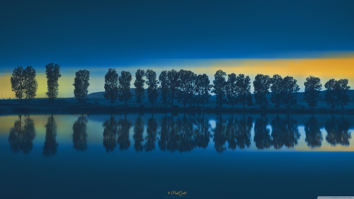 Trees reflected in a lake at sunset