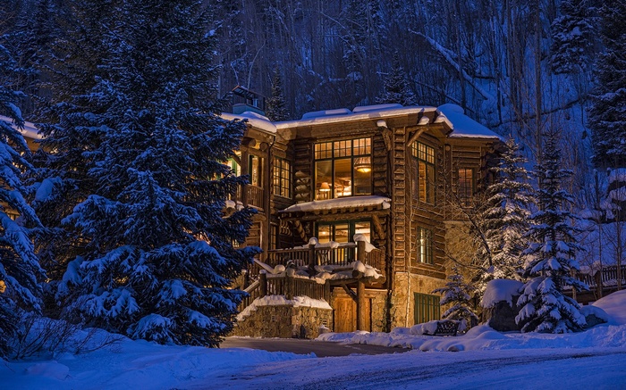 Luxury log cabin in a snowy Colorado forest at dusk