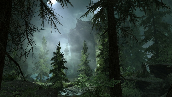 The Elder Scrolls V: Skyrim forest with cave and mist