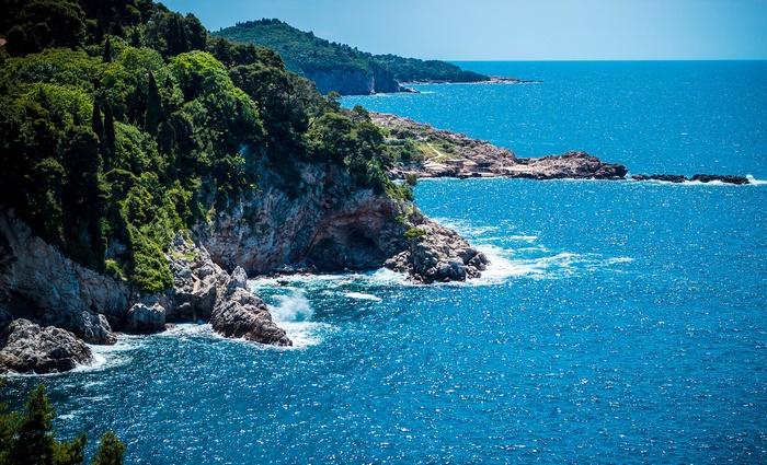 Rocky coastline with lush green trees and blue sea
