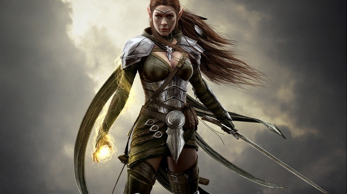 The Elder Scrolls Online Elf Warrior
