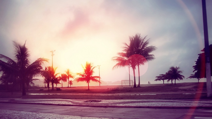 Palm trees on a beach at sunset with lens flare