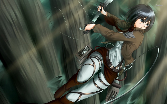 Mikasa Ackerman in Attack on Titan
