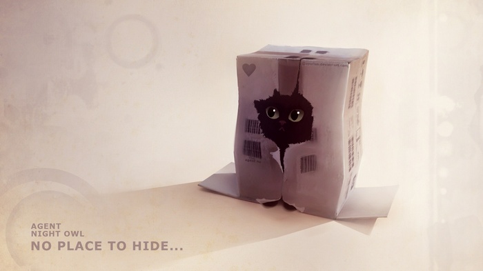 Agent Night Owl No Place to Hide Black Cat in Box