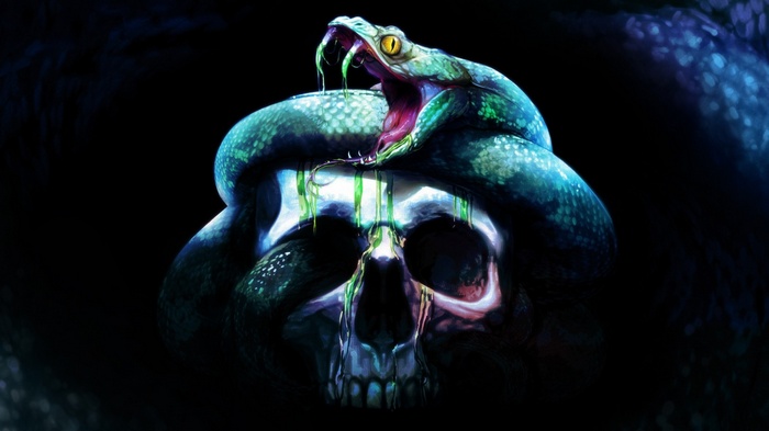 Neverwinter Nights, dark, skull, snake, Neverwinter Nights 2: Storm of Zehir, teeth, animals, artwork, digital art