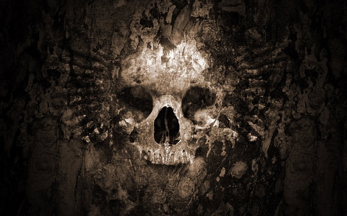Dark skull with textured background