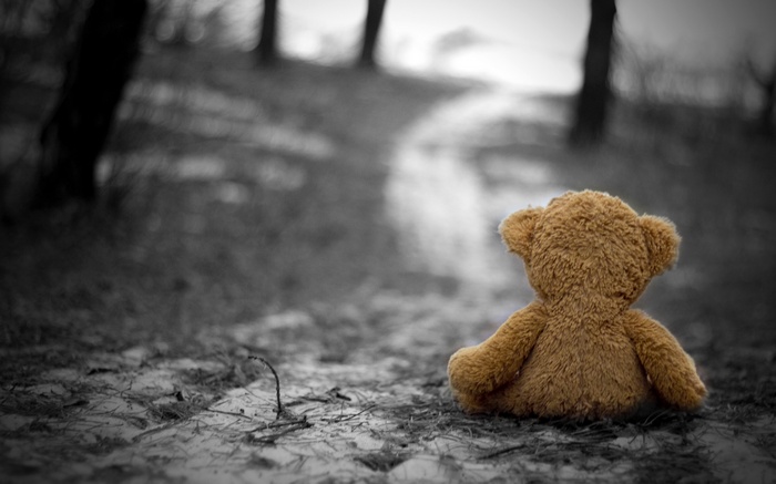 A lonely teddy bear sits on a path in the woods
