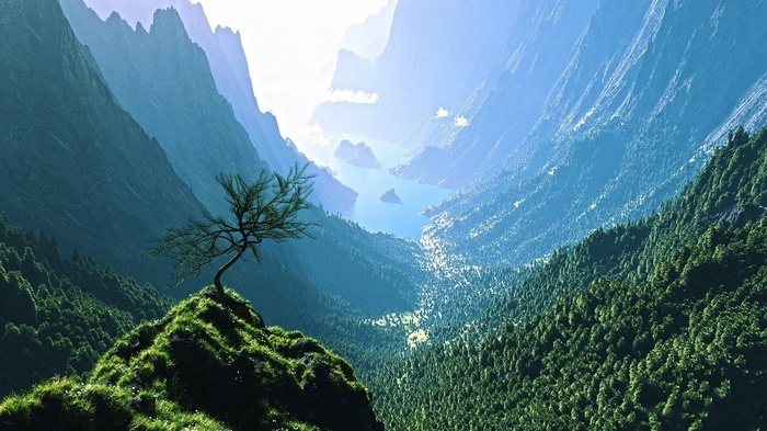 A lone tree on a grassy peak overlooking a mountain valley with a lake