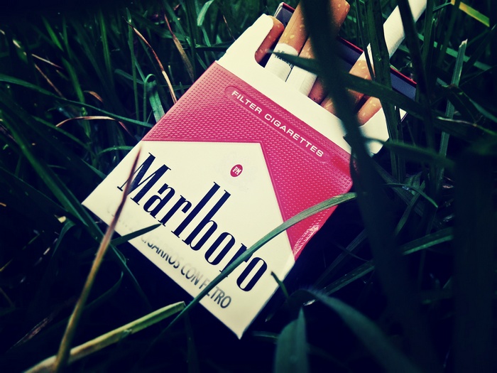 Marlboro cigarettes pack in green grass