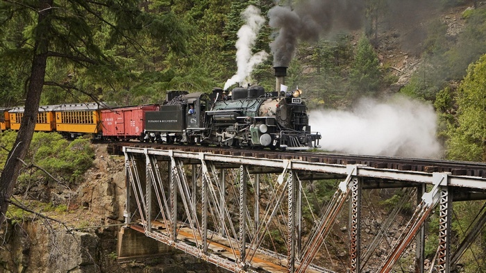 Steam locomotive crossing a bridge in a forest