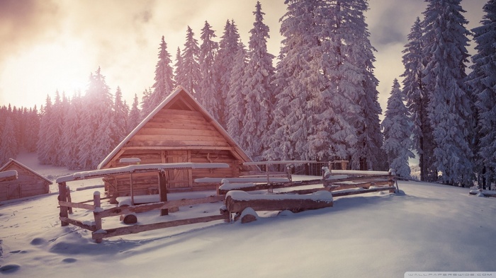Wooden cabin in a snowy forest at sunrise