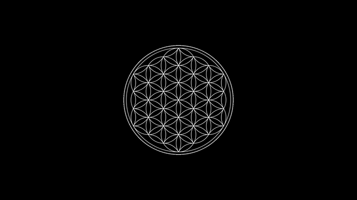 Flower of Life sacred geometry symbol