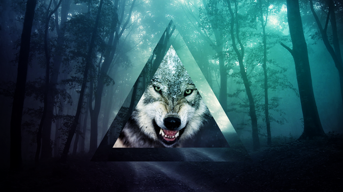 Wolf in a triangle in a foggy forest