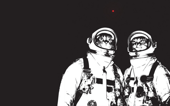 Two cats in astronaut suits looking up