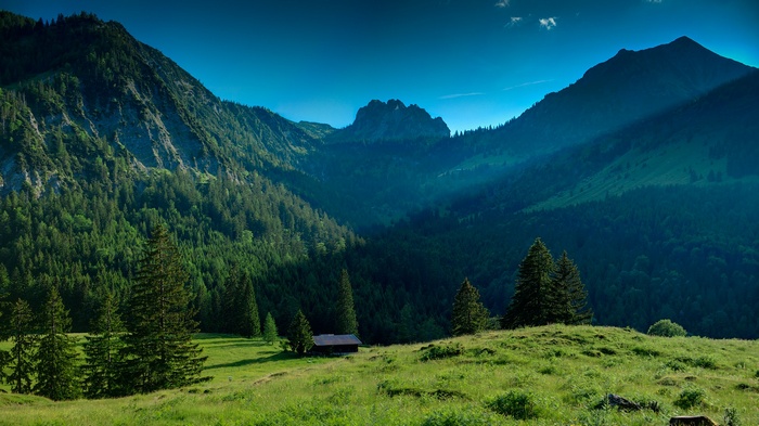 nature, landscape, field, pine trees, trees, forest, sunlight, mountains, valley