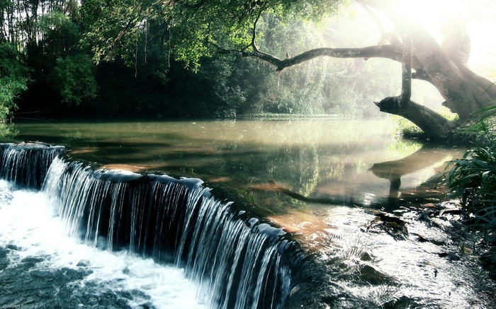 Waterfall in a lush forest with sun rays