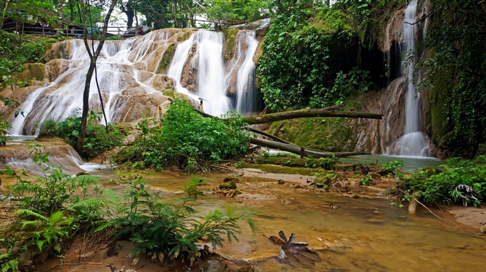Cascading waterfalls in a lush jungle setting