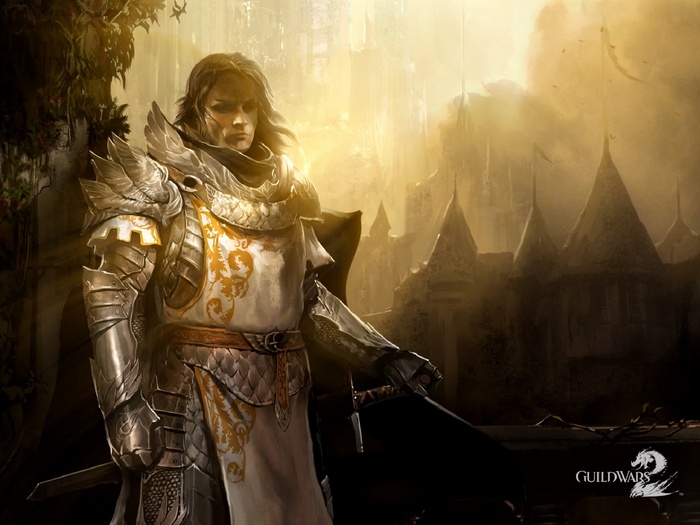 Guild Wars 2 Knight in Armor