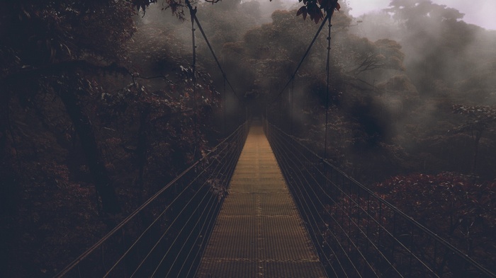 Suspension bridge in a foggy forest