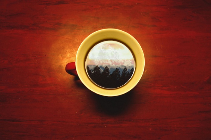 Coffee cup with a forest and sky reflection