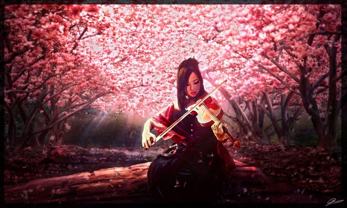 Woman playing violin under cherry blossoms