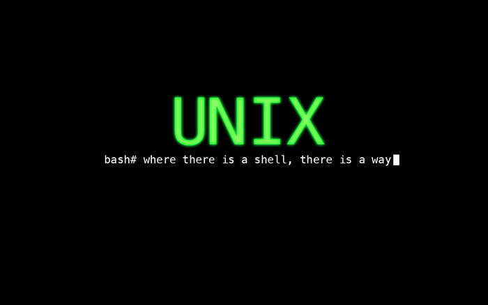 UNIX command line with bash prompt