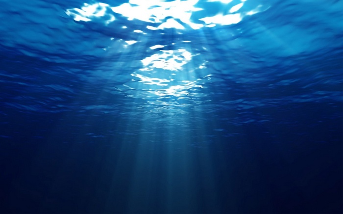 Underwater view of sunlight filtering through the sea