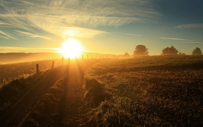 Sunrise over a misty field with a dirt path