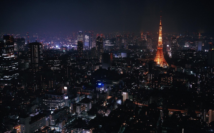 Tokyo Tower at night overlooking a city skyline