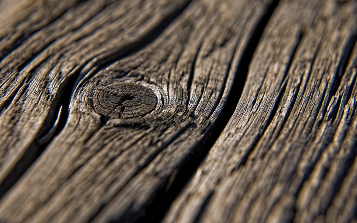 Close-up of a weathered wooden surface with a knot