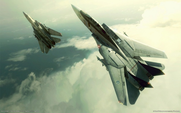 Grumman F-14 Tomcat jets in Ace Combat 5