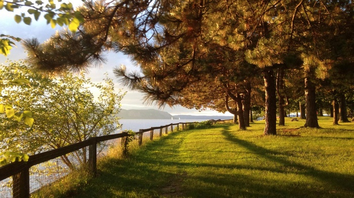 Park path along a lake with trees and a fence