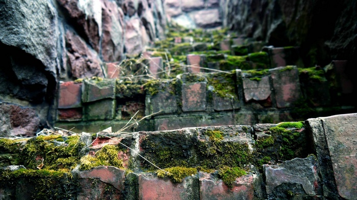 Moss-covered brick stairs with stone wall